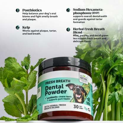 Natural Dental Care Powder for Dogs